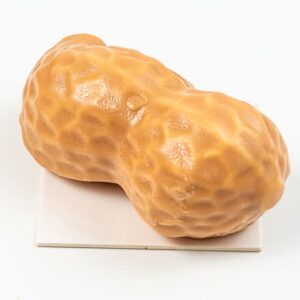 tromp l'oeil arachide